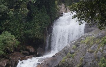 Memorable 4 Days 3 Nights Munnar Tour Package