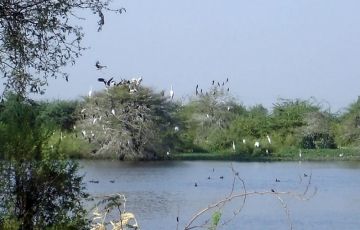 Heart-warming 3 Days 2 Nights dasada Tour Package