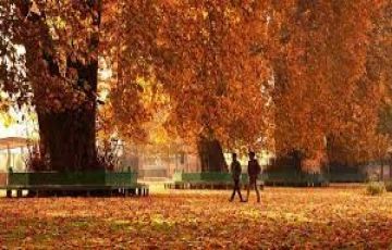 Magical Srinagar Tour Package for 4 Days 3 Nights