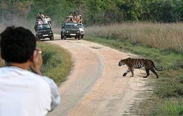 Delhi, Ranthambore with Bharatpur Tour Package for 15 Days 16 Nights from Delhi
