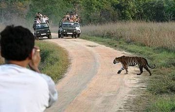 Delhi, Ranthambore with Bharatpur Tour Package for 15 Days 16 Nights from Delhi