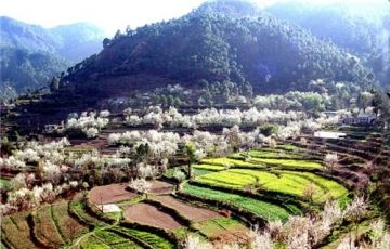 Beautiful 9 Days 8 Nights Delhi  Shimla  Manali  Dharamshala  Delhi Trip Package