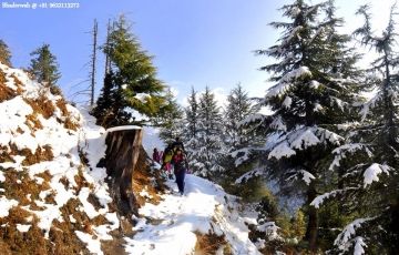 Explore Bhaderwah Tour