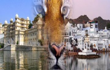 3 Days 2 Nights Delhi  Corbett Park  Delhi Holiday Package