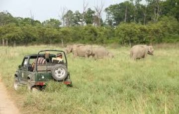 3 Days 2 Nights Delhi  Corbett Park  Delhi Holiday Package