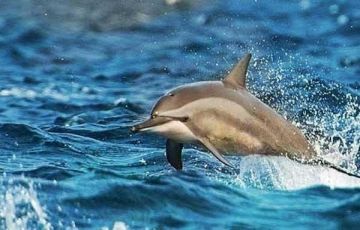 Magical 3 Days 2 Nights Negombo Vacation Package