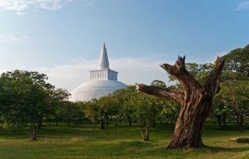Pleasurable 6 Days 5 Nights Anuradhapura Holiday Package