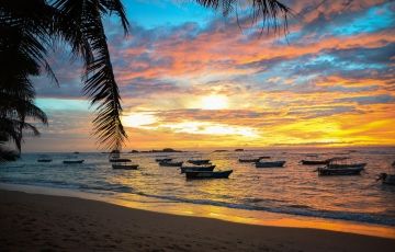 Amazing 6 Days 5 Nights Habarana  Polonnaruwa  Passikudah Arugam Bay Yala Galle  Hikkaduwa Holiday Package