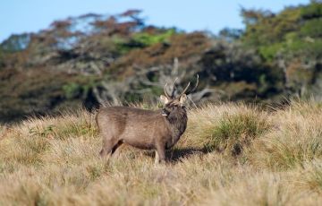 Bentota Tour Package for 9 Days 8 Nights