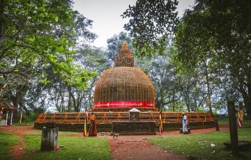 Magical 9 Days 8 Nights Dambulla Holiday Package