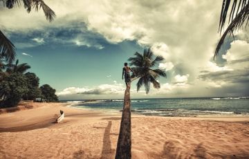 Magical 9 Days 8 Nights Dambulla Holiday Package