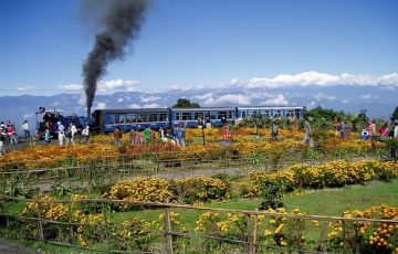 Ecstatic 5 Days 4 Nights Darjeeling with Gangtok Holiday Package