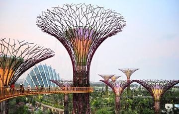 Magical 7 Days 6 Nights Ile Aux Cerfs Tour Package