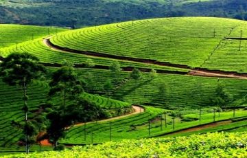 Family Getaway 6 Days 5 Nights Cochin Trip Package