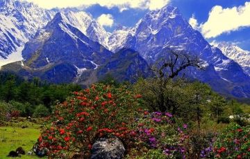 Ecstatic 8 Days 7 Nights Gangtok, Lachen, Lachung with Darjeeling Tour Package