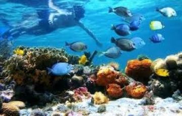 Best 5 Days 4 Nights Pattaya Trip Package