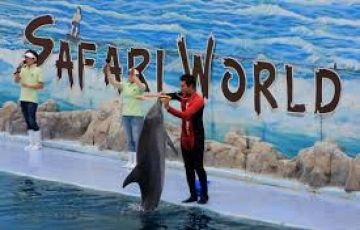 Best 5 Days 4 Nights Pattaya Trip Package