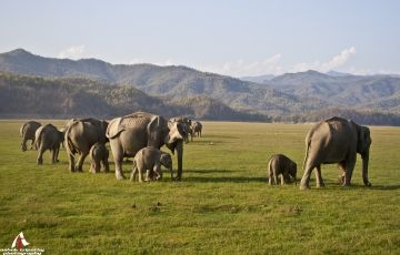 3 Days Ramnagar to Jim Corbett National Park Holiday Package
