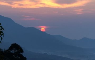 Experience 5 Days 4 Nights Cochin, Munnar with Thekkady Trip Package