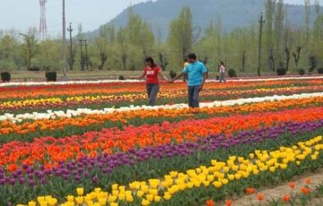 Experience Pahalgam Tour Package for 5 Days 4 Nights