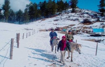 Heart-warming 3 Days 2 Nights Shimla with Kufri Trip Package