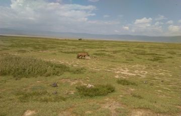 Experience Amboseli Tour Package for 2 Days 1 Night