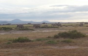 Amazing 7 Days 6 Nights Laoske Baringo Vacation Package