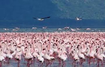 Amazing 7 Days 6 Nights Laoske Baringo Vacation Package