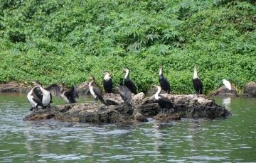 Amazing 7 Days 6 Nights Laoske Baringo Vacation Package