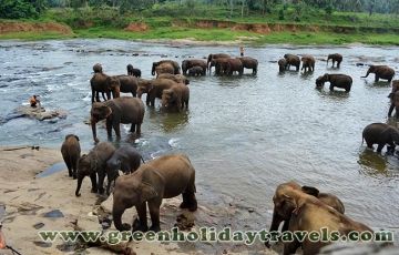 Polonnaruwa Tour Package for 5 Days 4 Nights