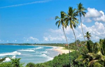 Best 6 Days 5 Nights Bentota, Yala, Colombo with Nuwara Eliya Vacation Package