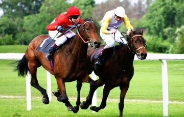 Best 6 Days 5 Nights Bentota, Yala, Colombo with Nuwara Eliya Vacation Package