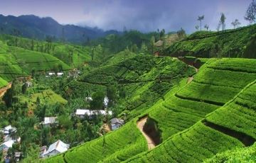 Best 6 Days 5 Nights Bentota, Yala, Colombo with Nuwara Eliya Vacation Package