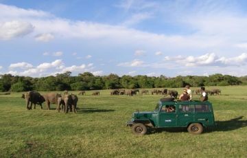 Habarana, Kandy, Nuwara Eliya and Yala Tour Package for 6 Days 5 Nights