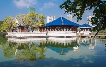 Family Getaway 6 Days 5 Nights Habarana, Kandy, Bentota with Colombo Holiday Package