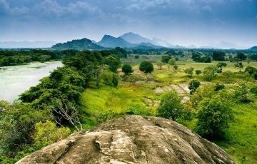 Best 6 Days 5 Nights Habarana, Kandy, Colombo and Polonnaruwa Vacation Package