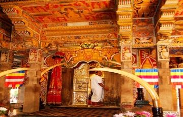 Best 6 Days 5 Nights Habarana, Kandy, Colombo and Polonnaruwa Vacation Package