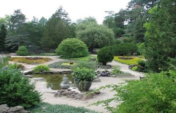 Family Getaway 5 Days 4 Nights Shimla Holiday Package