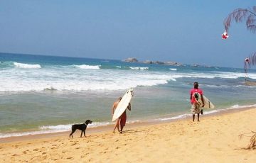 Ecstatic 7 Days 6 Nights Nuwra Eliya Vacation Package