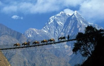 Family Getaway 6 Days 5 Nights Pelling Tour Package