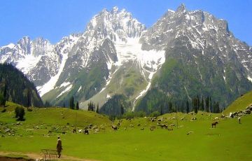 Magical 8 Days 7 Nights Srinagar, Sonamarg, pahalgam with Gulmarg Vacation Package