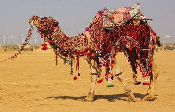 Jaipur, Udaipur and Pushkar Tour Package for 7 Days 6 Nights