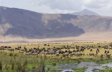 Magical 7 Days 6 Nights Ngorongoro Tour Package