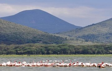 Memorable 7 Days 6 Nights Masai Mara with Naivasha Vacation Package
