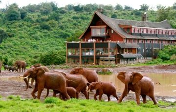 Memorable 7 Days 6 Nights Masai Mara with Naivasha Vacation Package