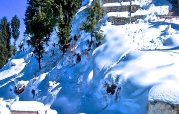Ecstatic 4 Days 3 Nights Shimla Tour Package