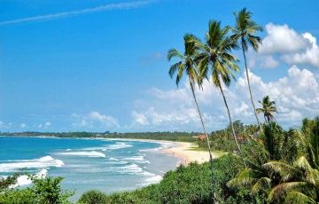 Pleasurable 8 Days 7 Nights Bentota Holiday Package Pleasurable 8 Days 7 Nights Bentota Holiday Package