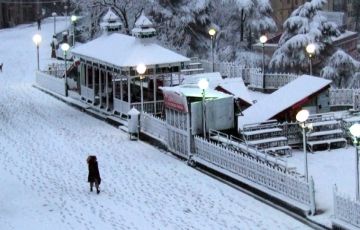 Heart-warming Shimla Tour Package for 7 Days 6 Nights