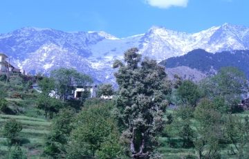 Memorable 7 Days 6 Nights Pathankot, Dalhousie with Dharamshala Vacation Package