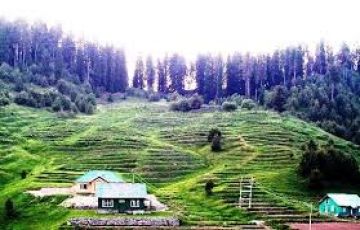 Srinagar, Gulmarg, Pahalgam and Sonamarg Tour Package from SRINAGAR
